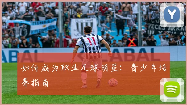 如何成为职业足球明星：青少年培养指南