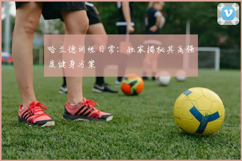哈兰德训练日常：独家揭秘其高强度健身方案